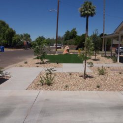 Before and After Landscaping Phoenix | MasterAZscapes