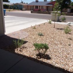 Before and After Landscaping Phoenix | MasterAZscapes
