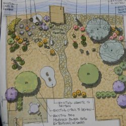 Landscape Design Phoenix Arizona | MasterAZscapes