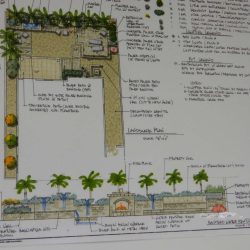 Landscape Design Phoenix Arizona | MasterAZscapes