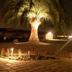 Landscape Lighting Phoenix | MasterAZscapes