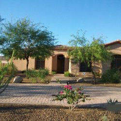 Plants and Trees Phoenix | MasterAZscapes