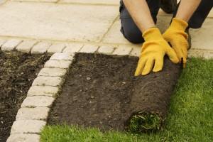 Professional Landscaper Scottsdale