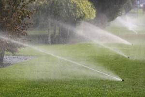 Sprinkler Irrigation Phoenix