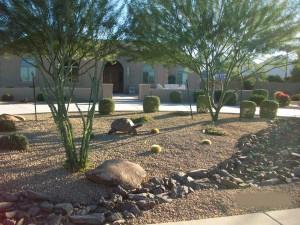 Tree Service Phoenix