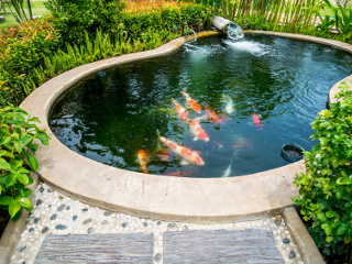 Landscaper Scottsdale