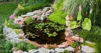 Landscaping Scottsdale