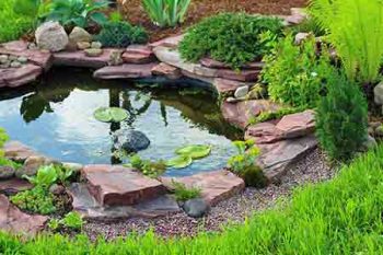 backyard-landscaping-scottsdale backyard landscaping scottsdale