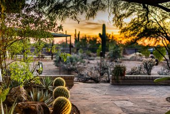 landscaping scottsdale