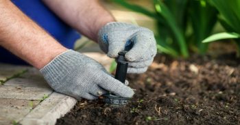 Landscaper Scottsdale