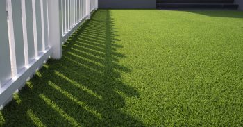 Artificial Turf Phoenix