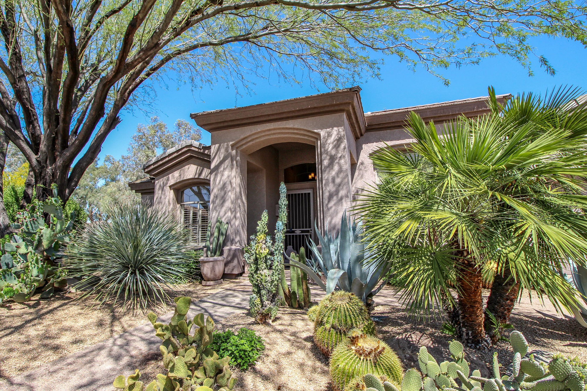 Best Landscaping Options for Arizona MasterAZscapes LLC