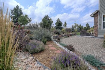 Landscaper Scottsdale