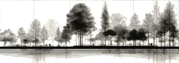 Landscape Designer Phoenix
