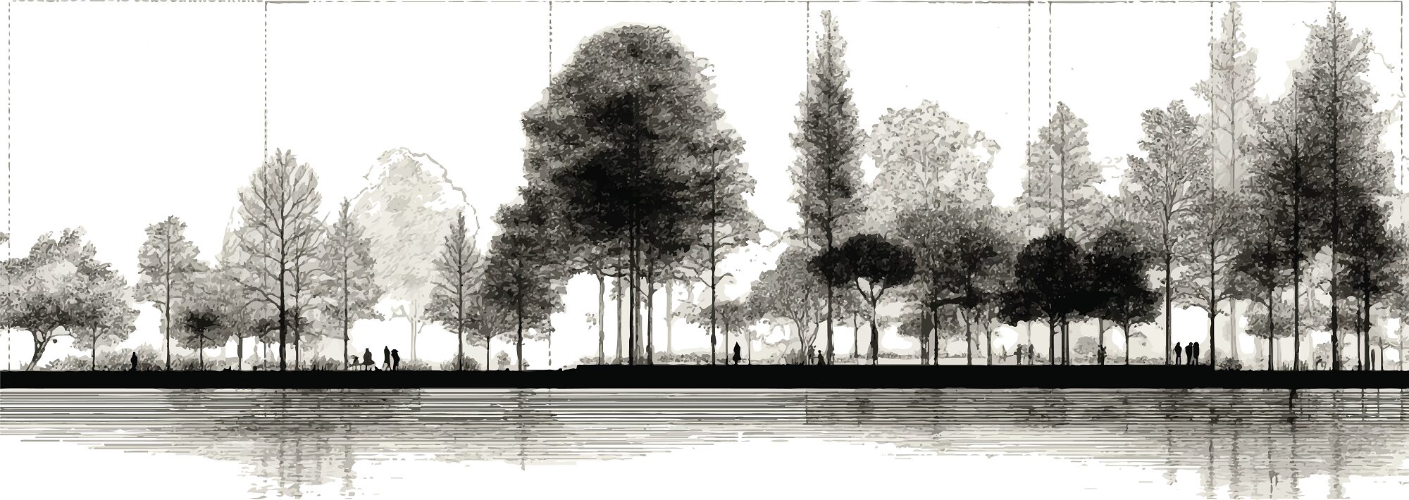 Landscape Designer Phoenix