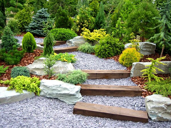 Landscape Designer Near Me Phoenix
