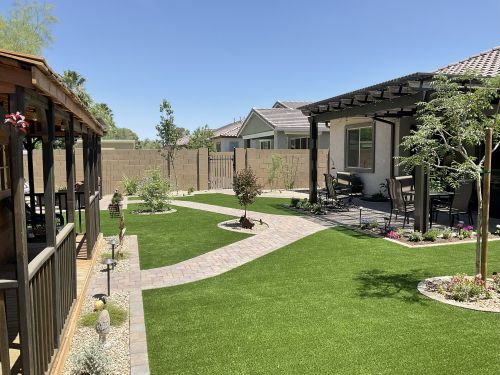 Plants For Water Conservation