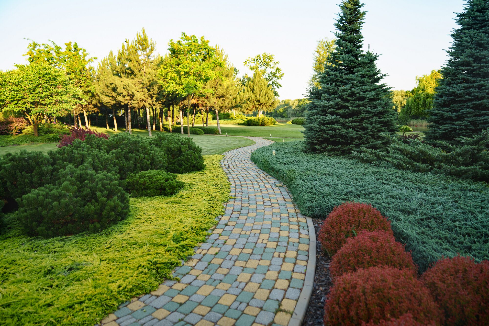 landscape designer phoenix Arizona