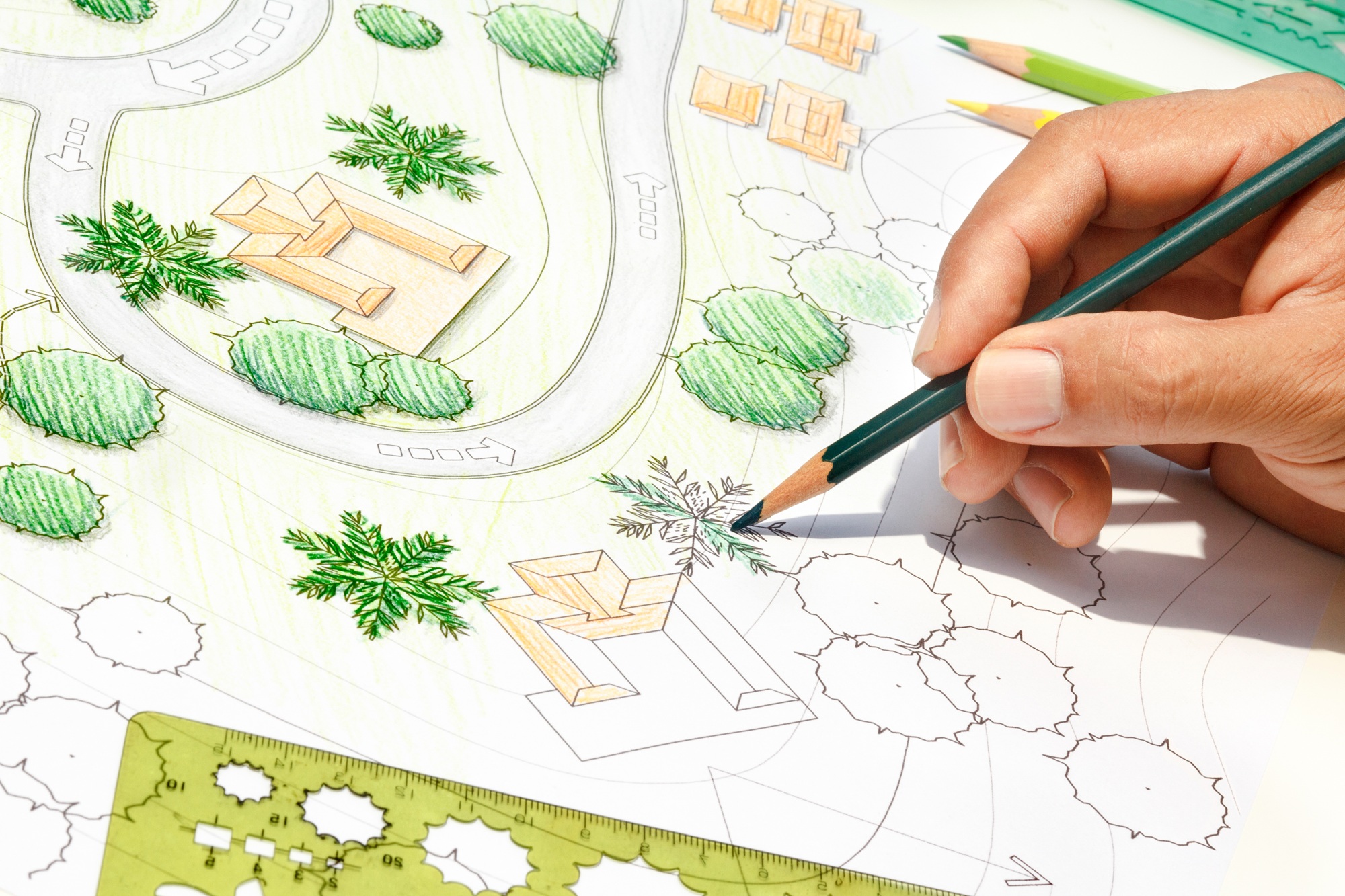 Landscape designer Phoenix AZ