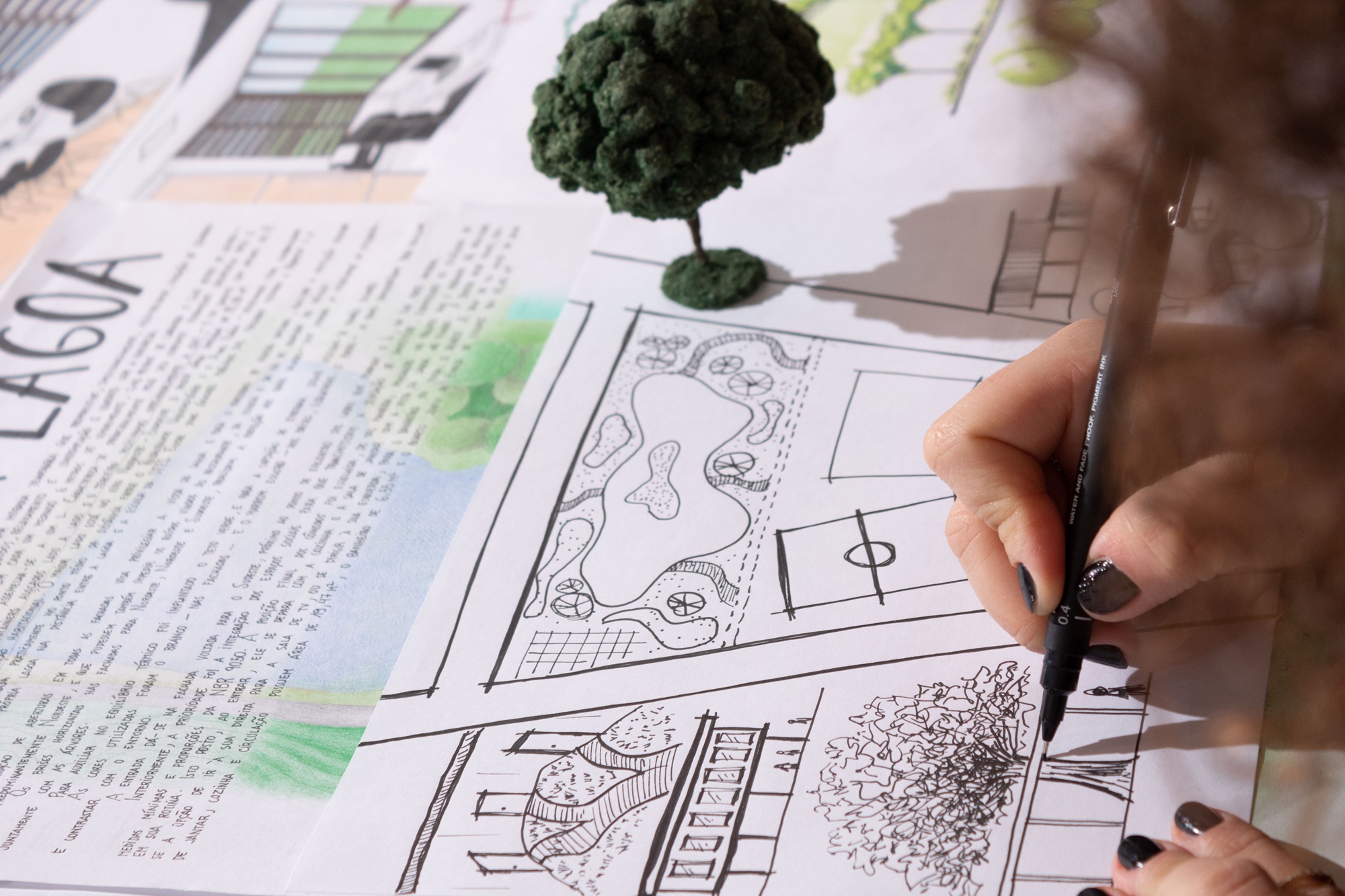 Landscape Designer In Phoenix