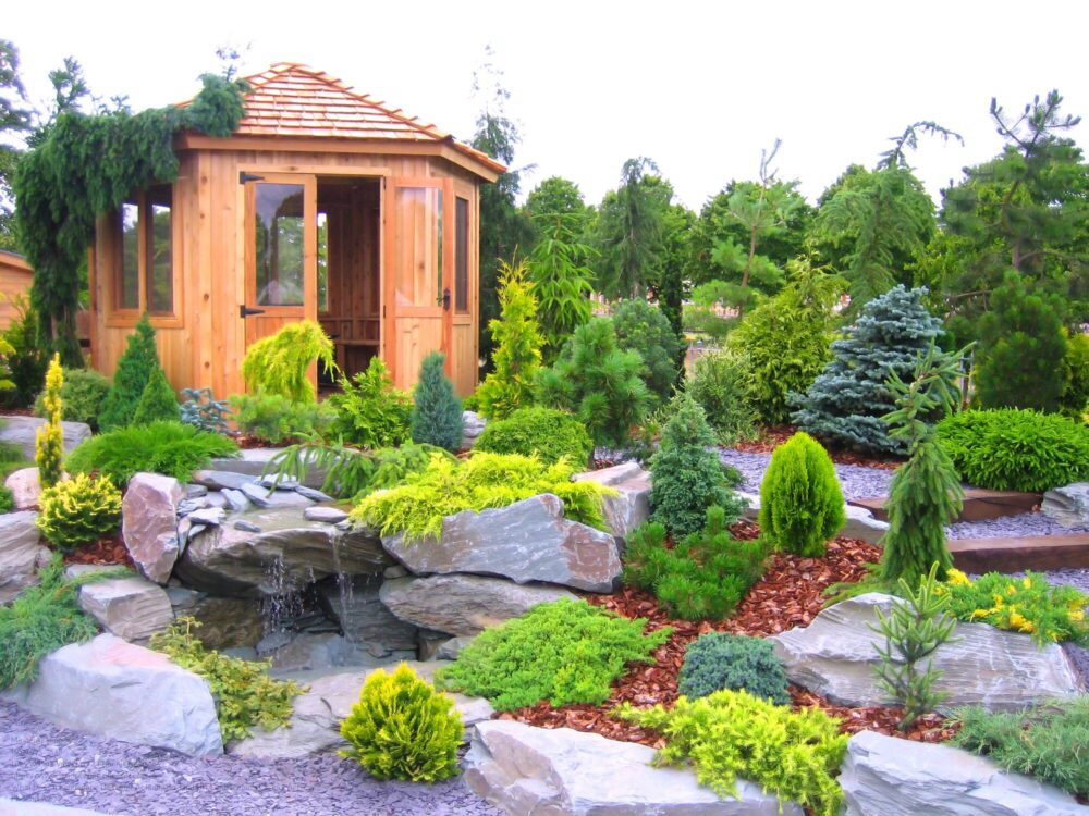 Landscape Designer Near Me Phoenix Az
