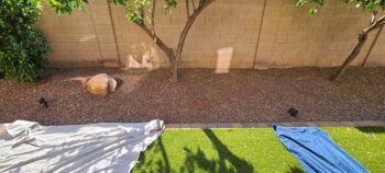 Landscape Designer Phoenix