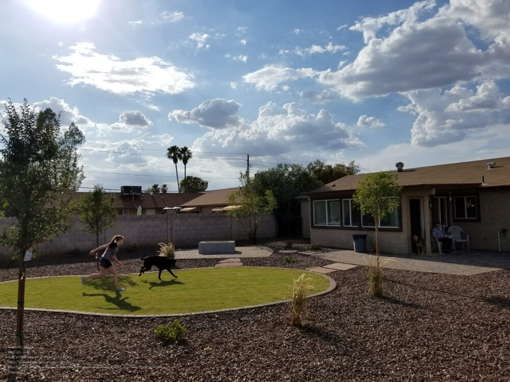 Landscape Designer Near Me Phoenix
