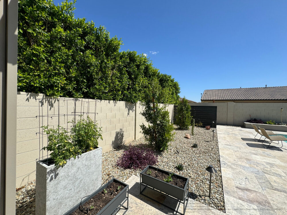 Landscape Designer Near Me Phoenix AZ