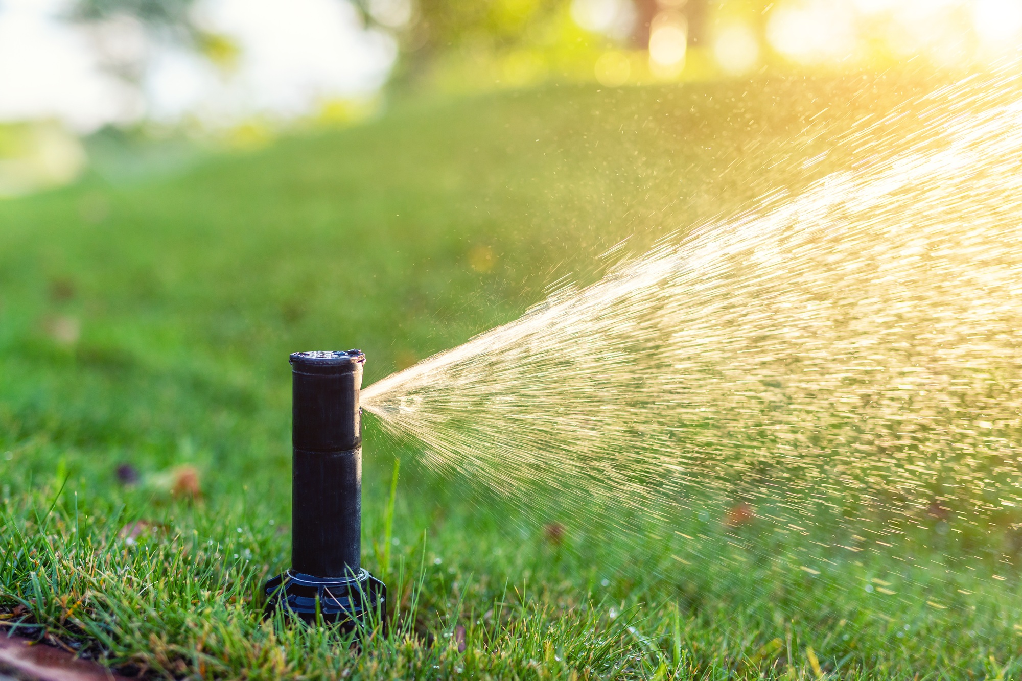 Sprinkler Installation Phoenix AZ